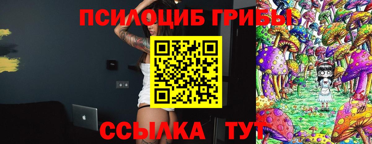Галлюциногенные грибы GOLDEN TEACHER Дзержинск